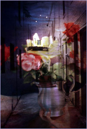 cibachrome photograph